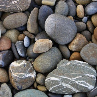 rocks