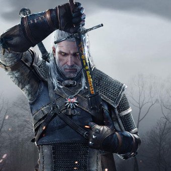 the witcher