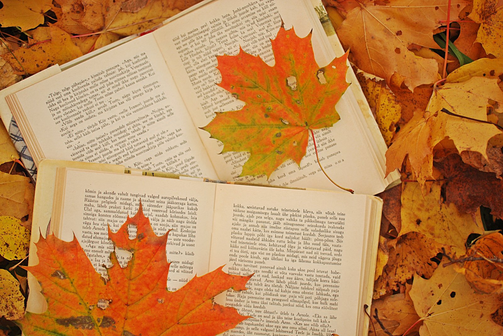 5 Φθινοπωρινές προτάσεις βιβλίων, για το blog Bookaholic Thoughts